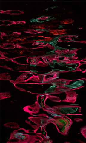 Disintegration04