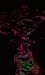 Disintegration03