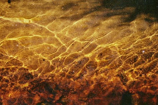 Riverbed2