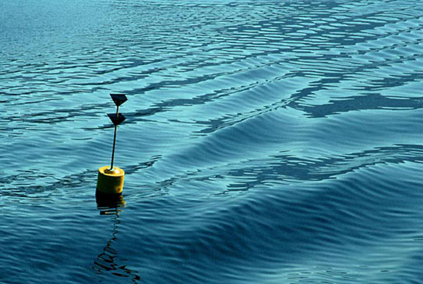 DeepBlueSea