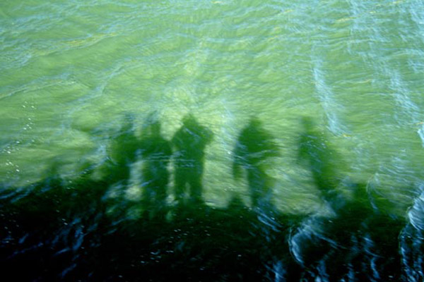 Shadows