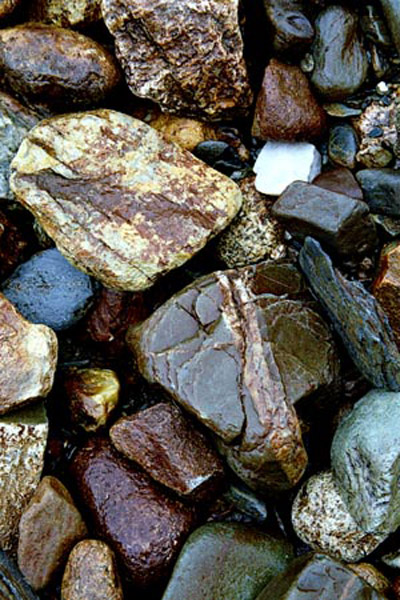 rocks