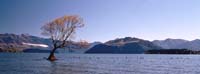 Lake Wanaka